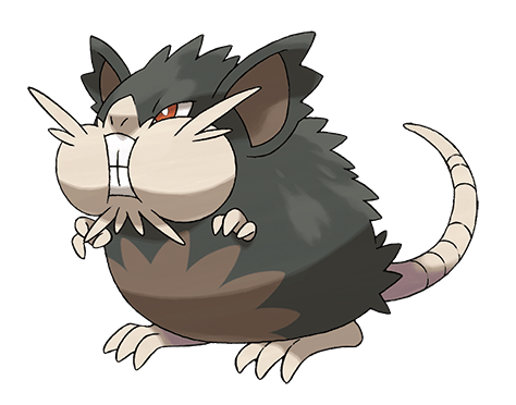 alolan_raticate_rgb_72dpi
